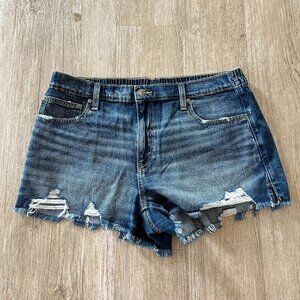 Aerie Blue Jean Shorts